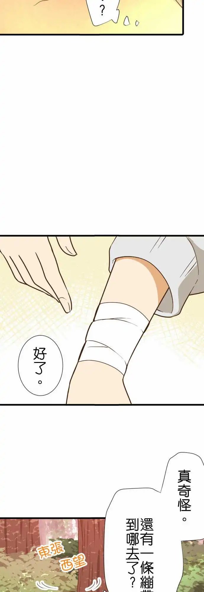 216-一反木棉
