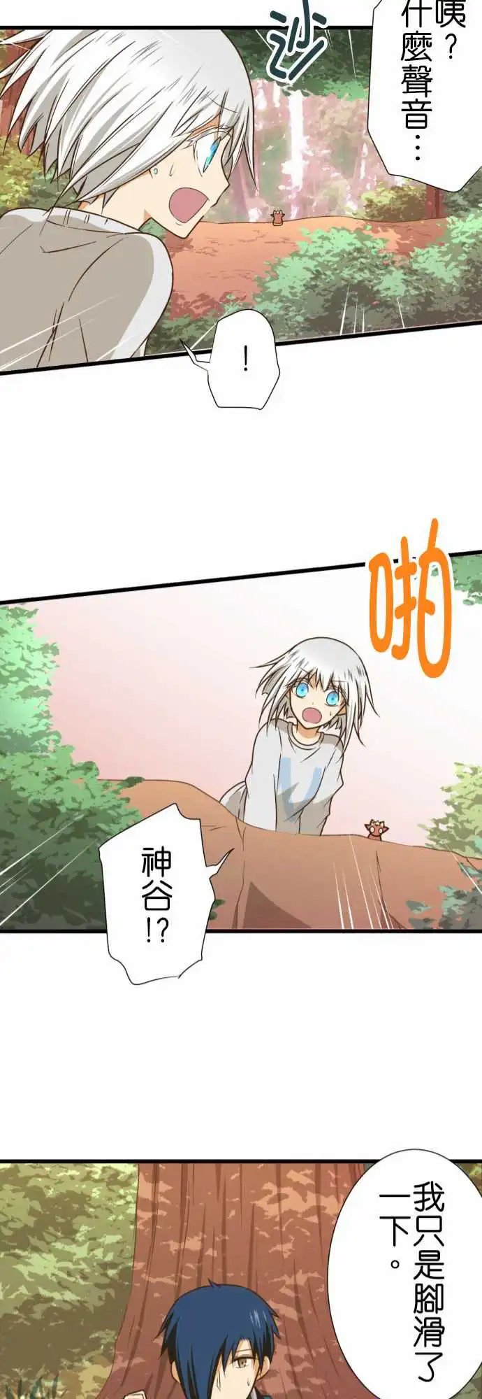 216-一反木棉