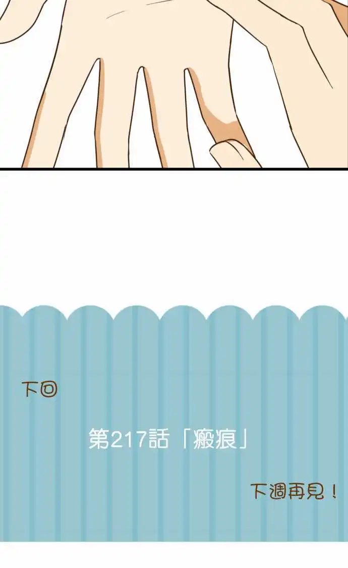 216-一反木棉