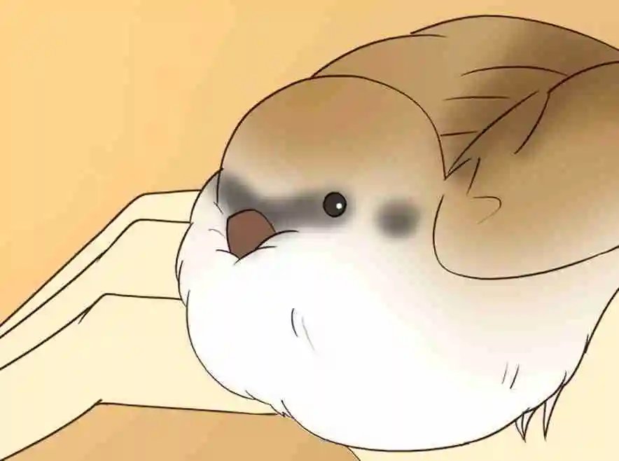 第23回