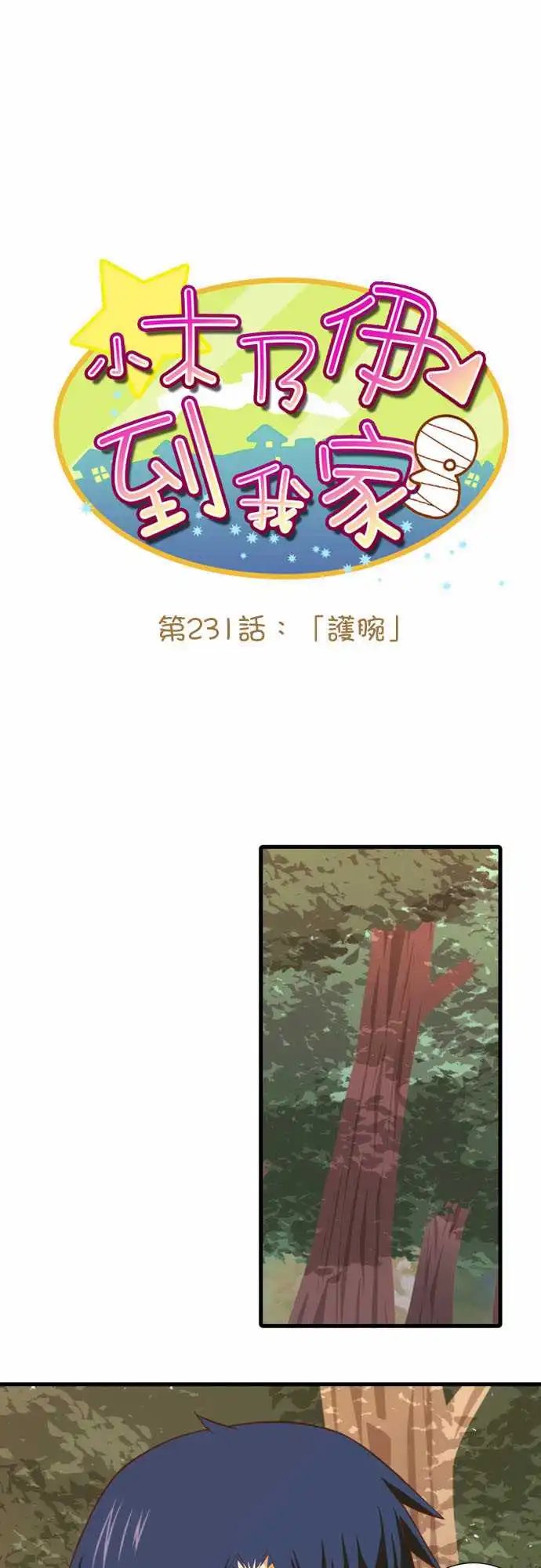 231-护腕