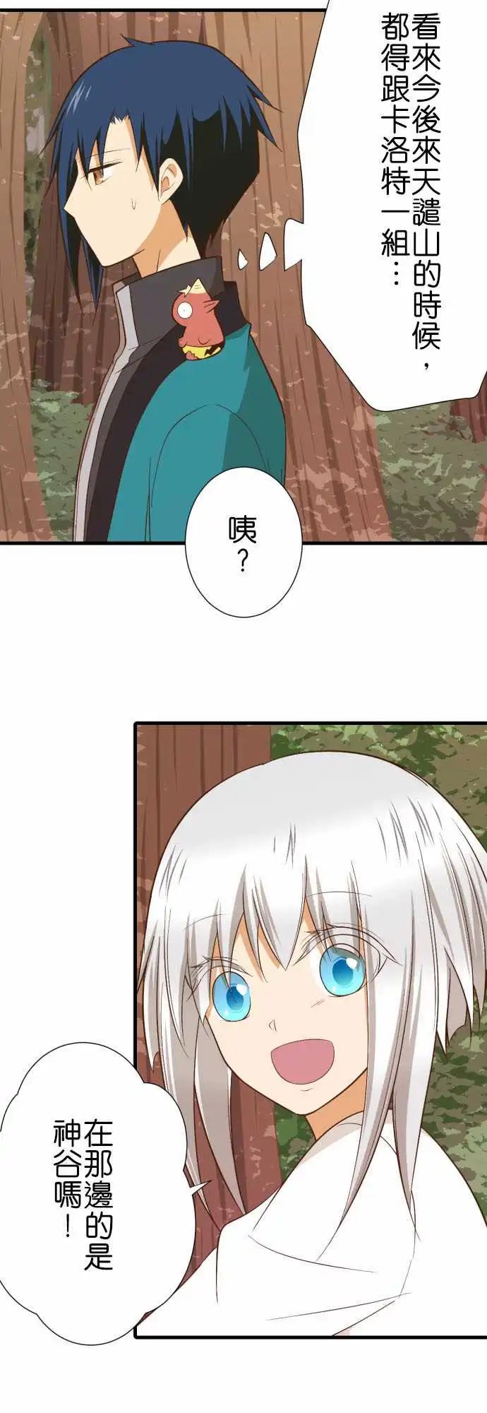 231-护腕