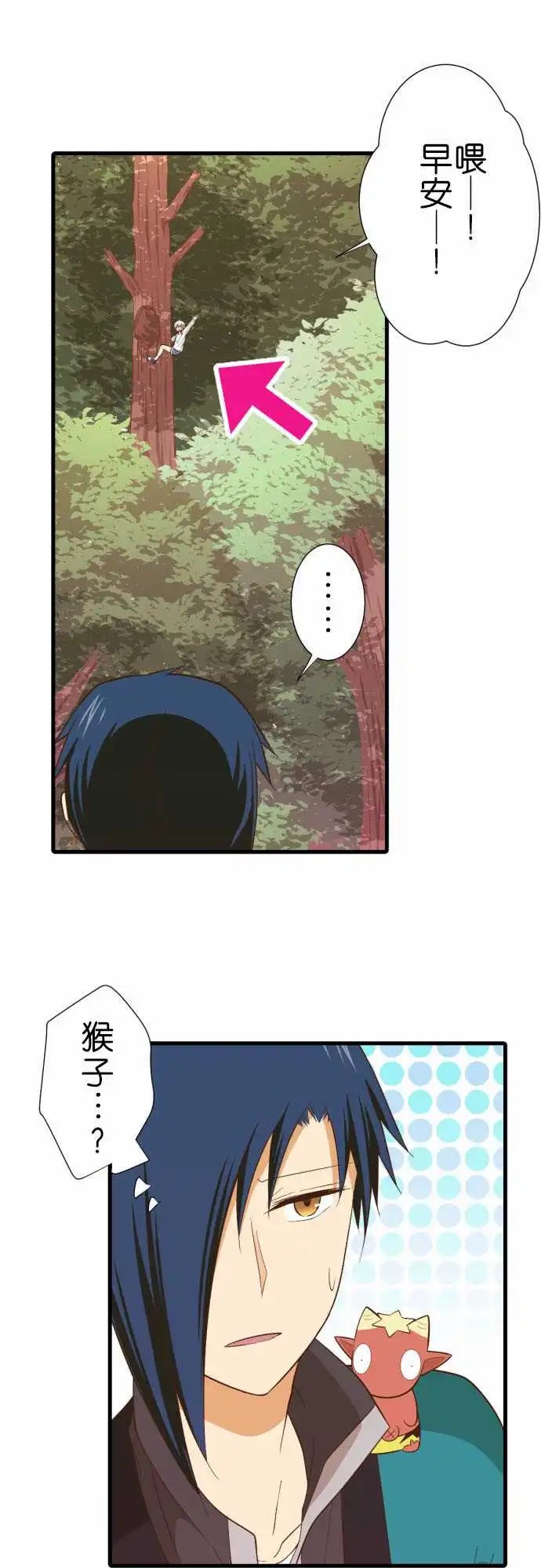 231-护腕