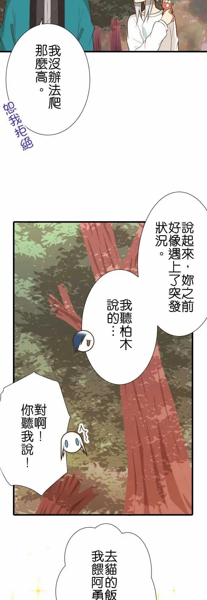 231-护腕