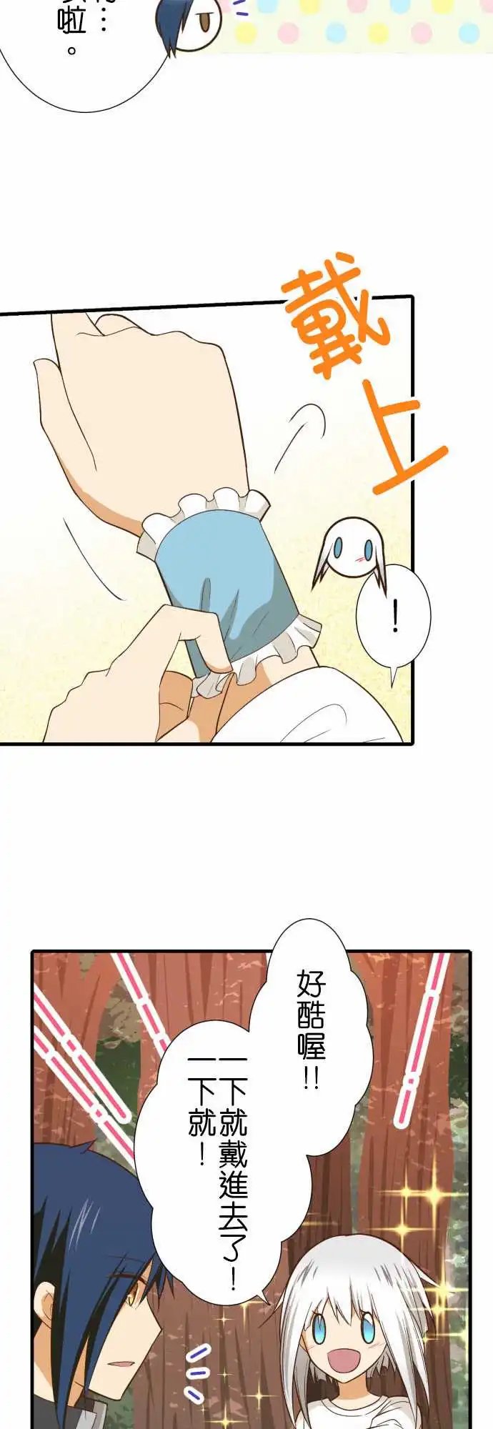 231-护腕