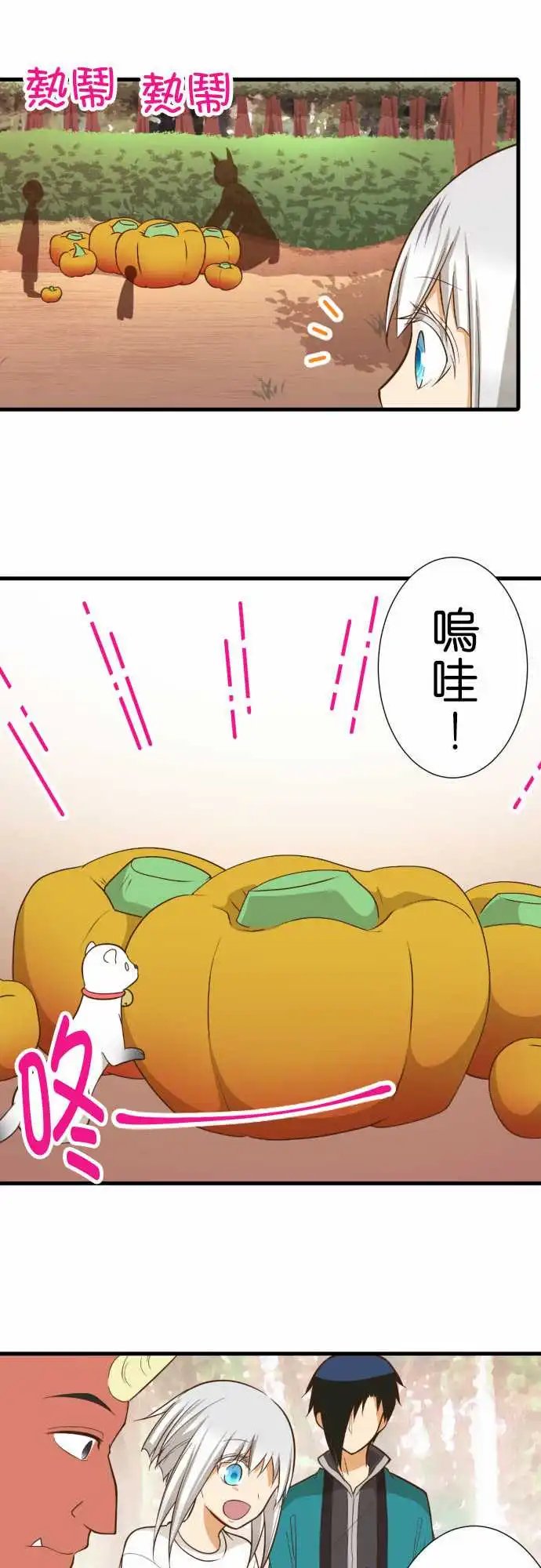 231-护腕