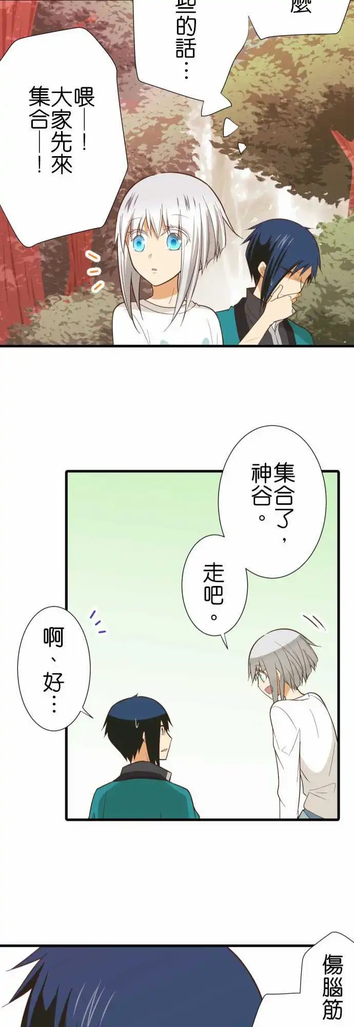 231-护腕
