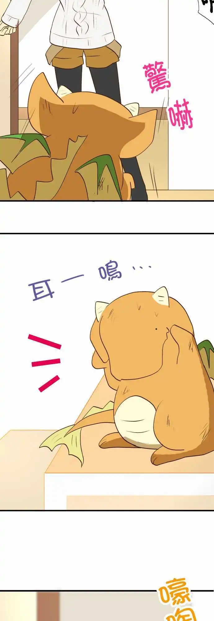 第29回