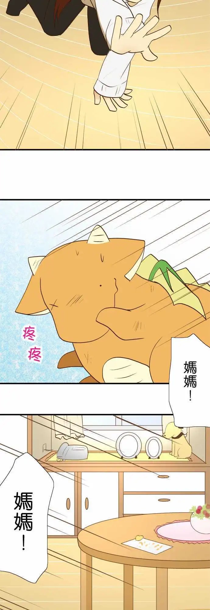 第29回