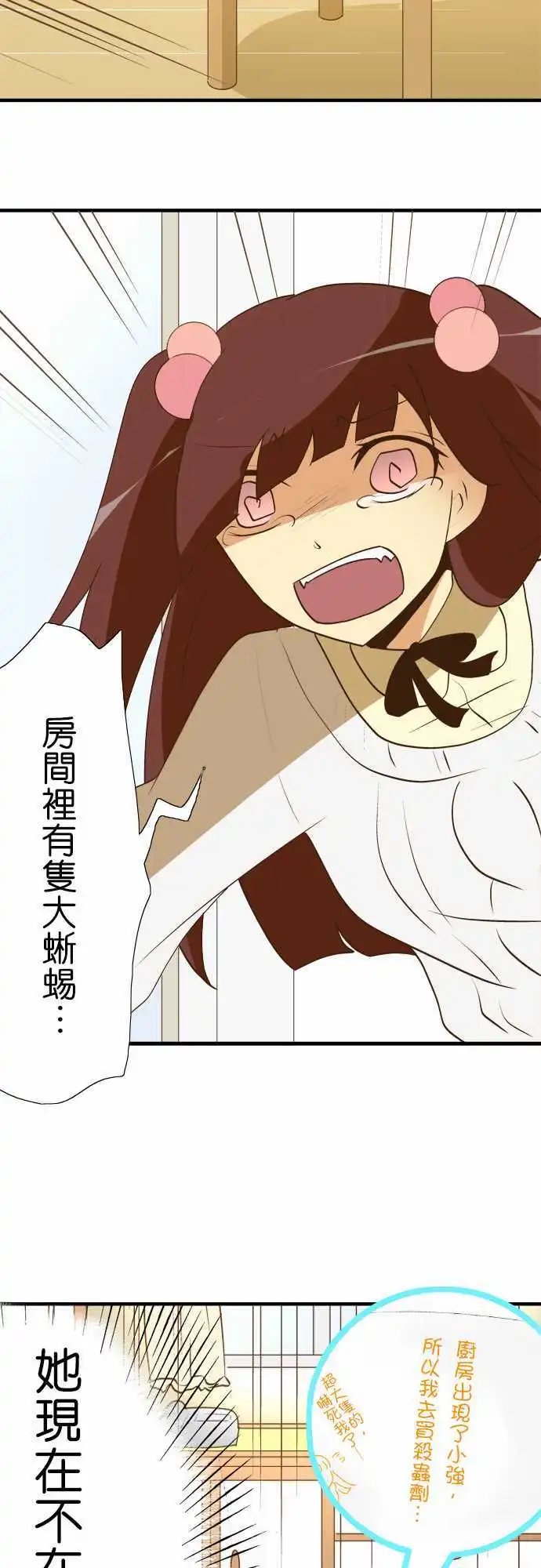 第29回