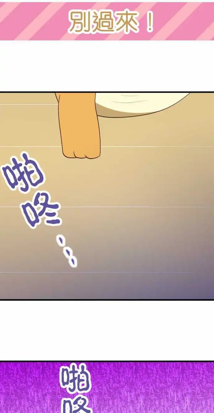 第29回