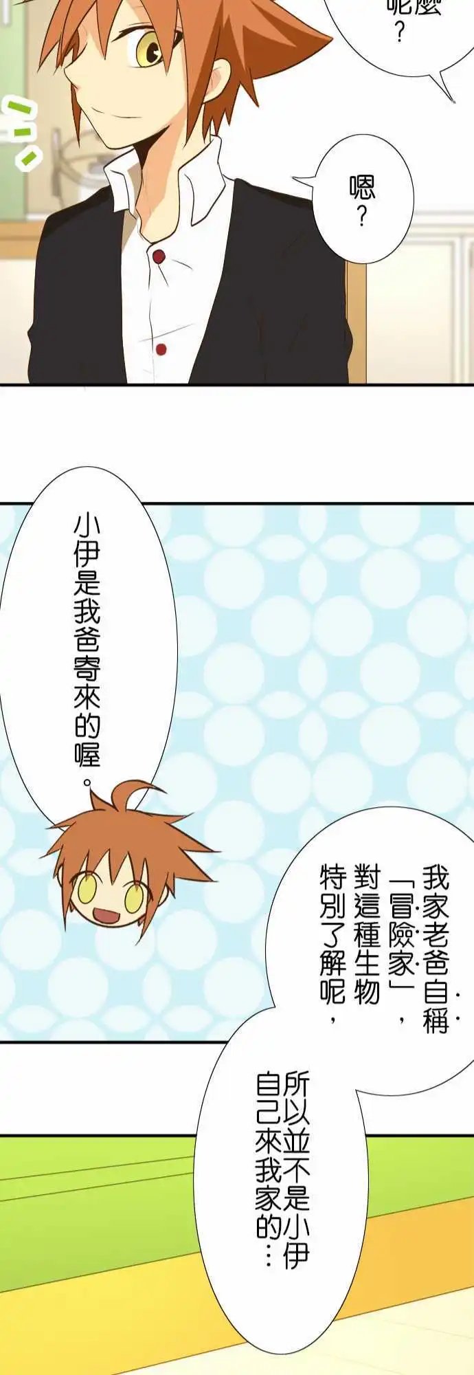 第31回