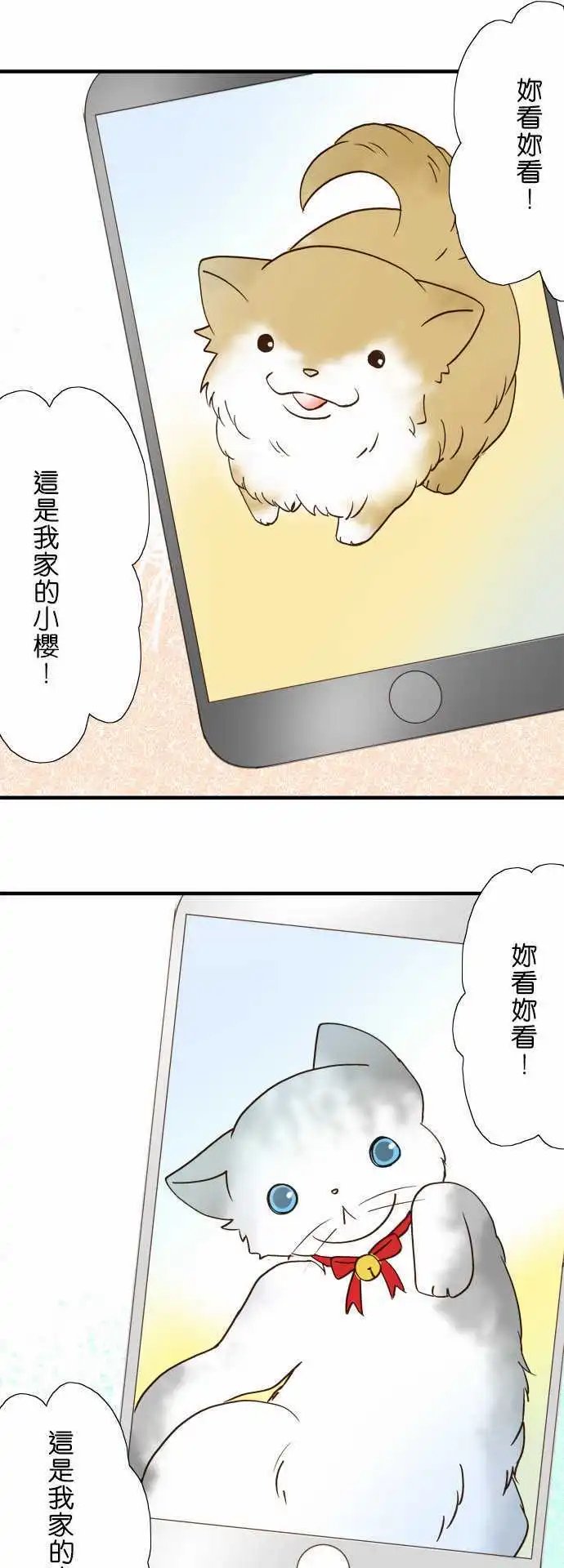 第35回
