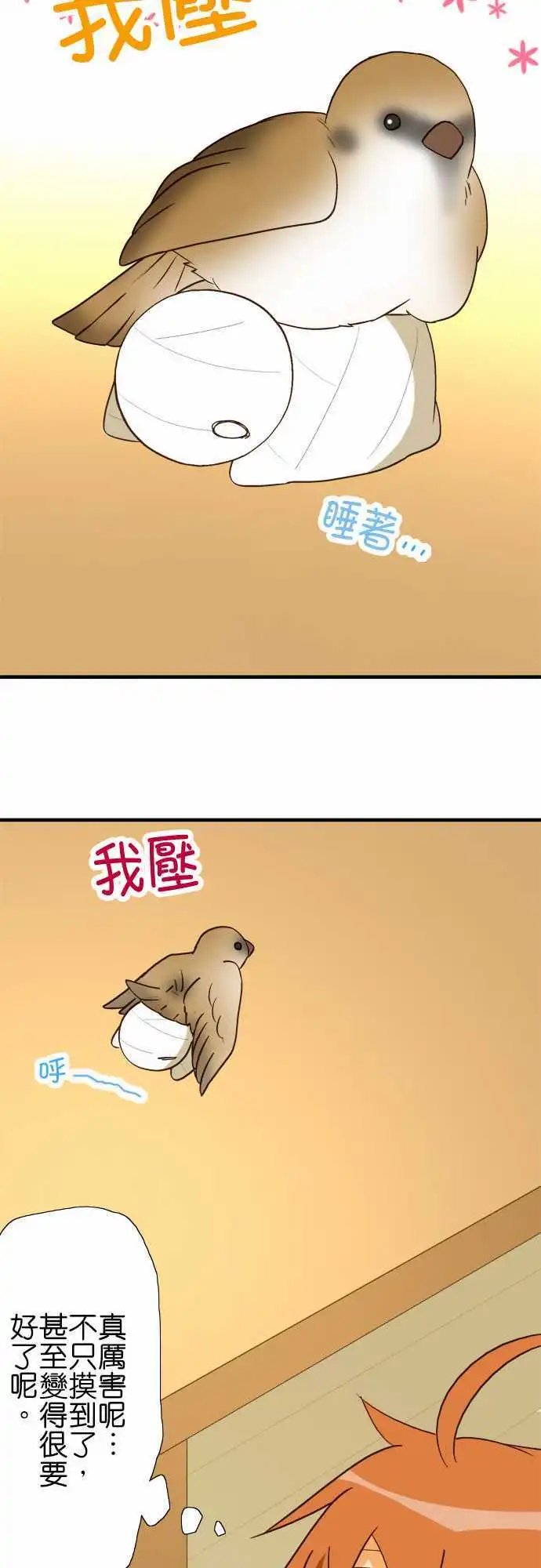 第40回