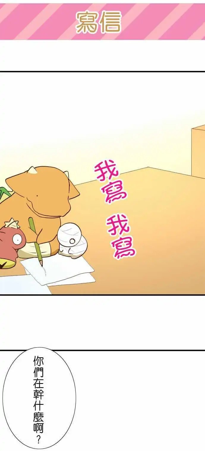 第41回