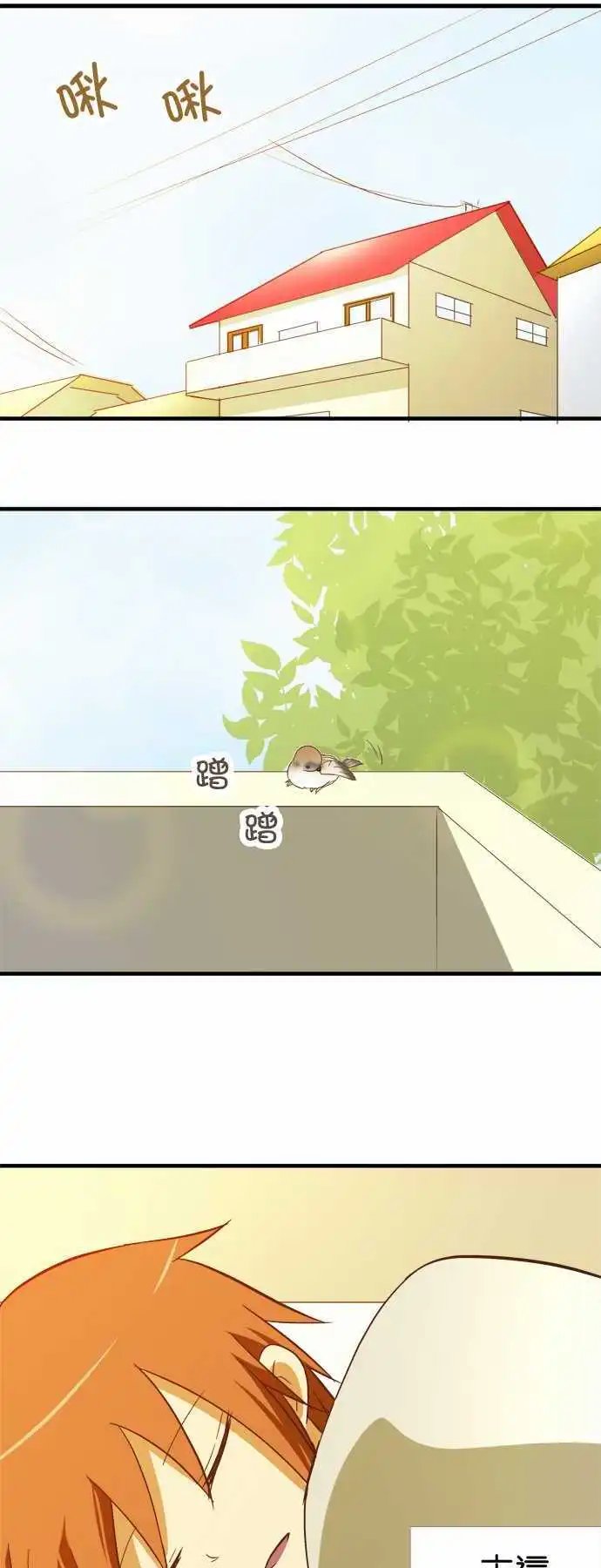 第50回