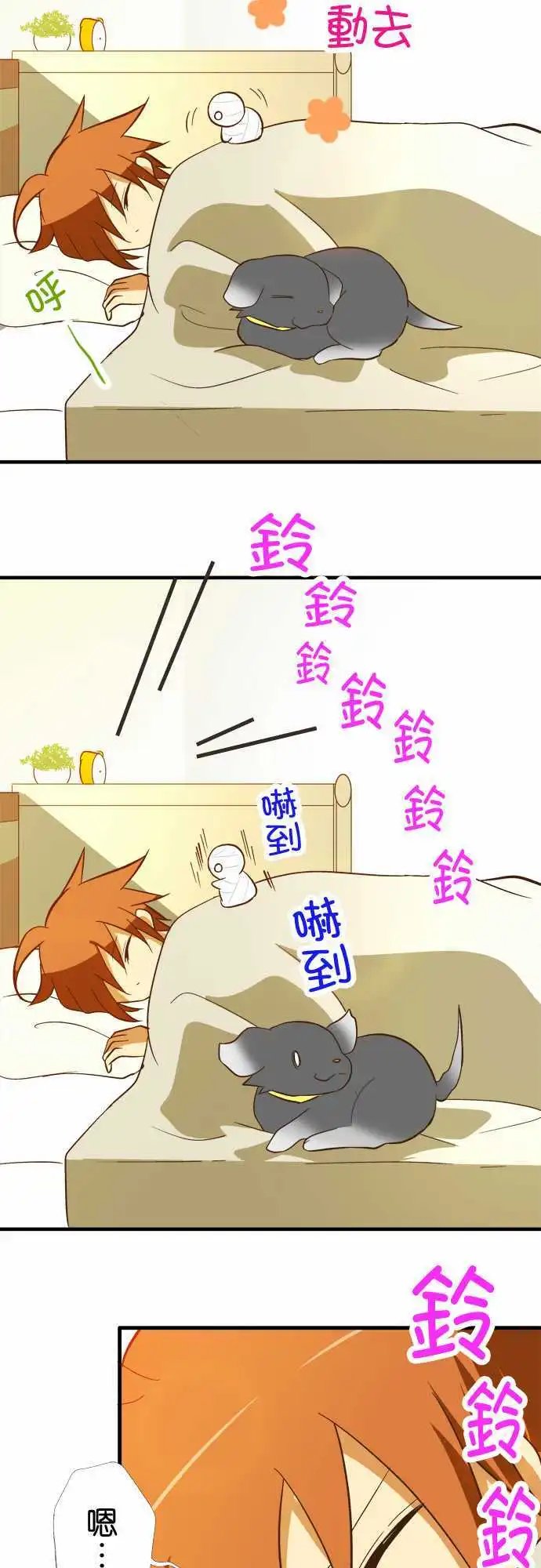 第50回