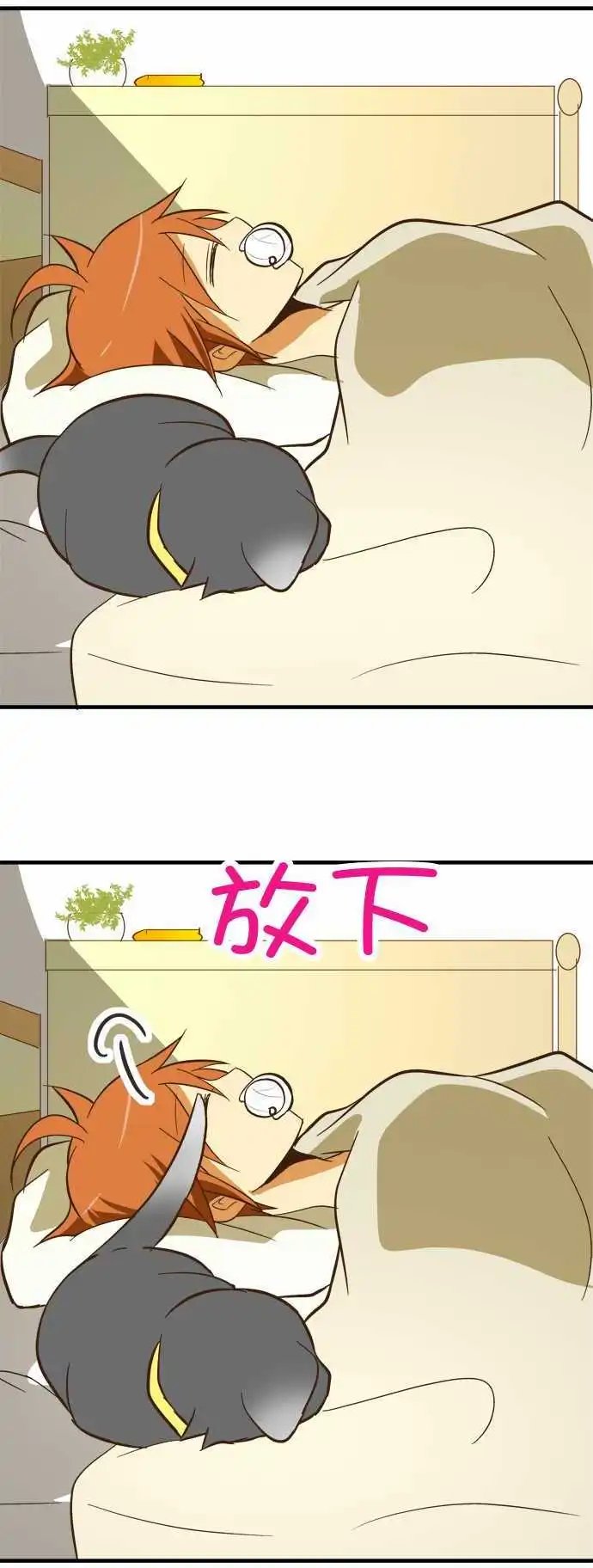 第50回