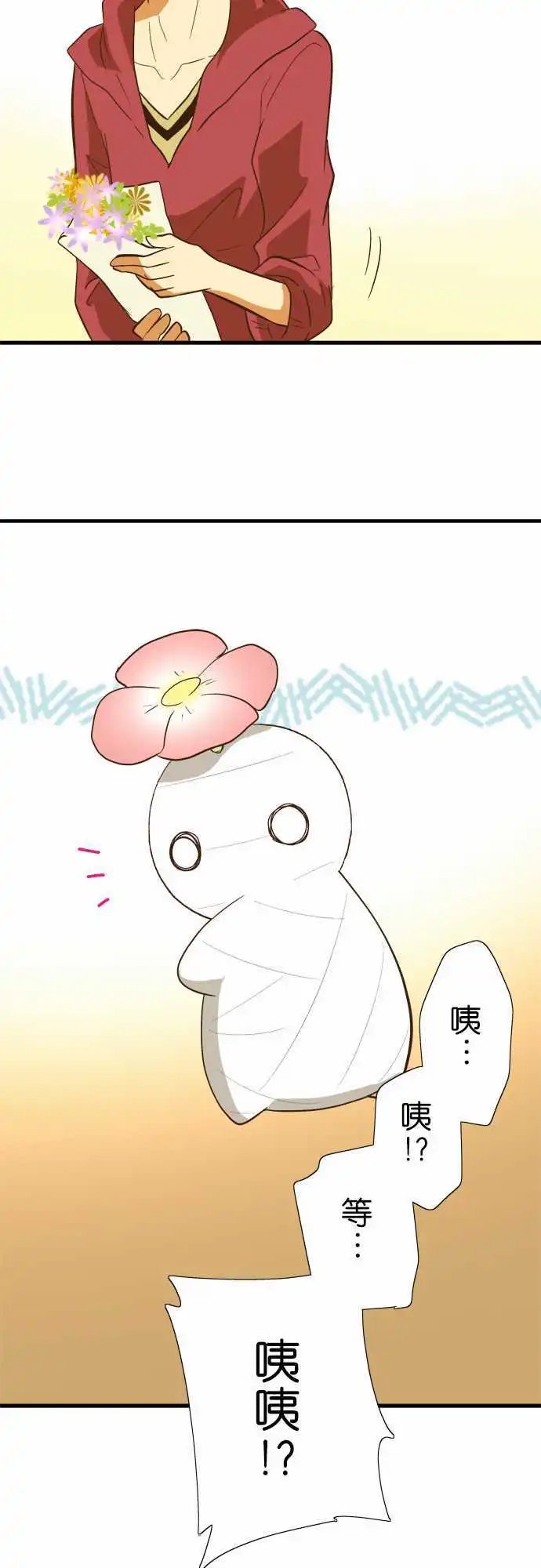 第51回