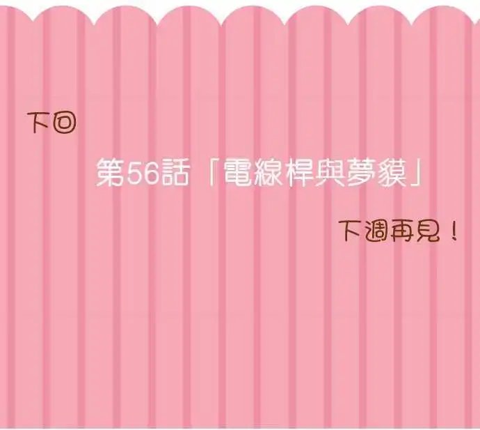 第55回