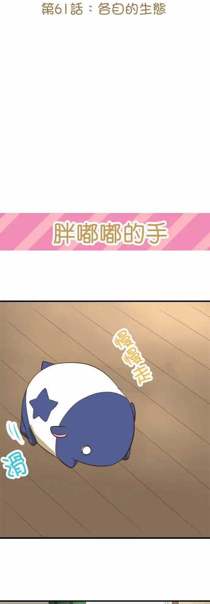 第61回