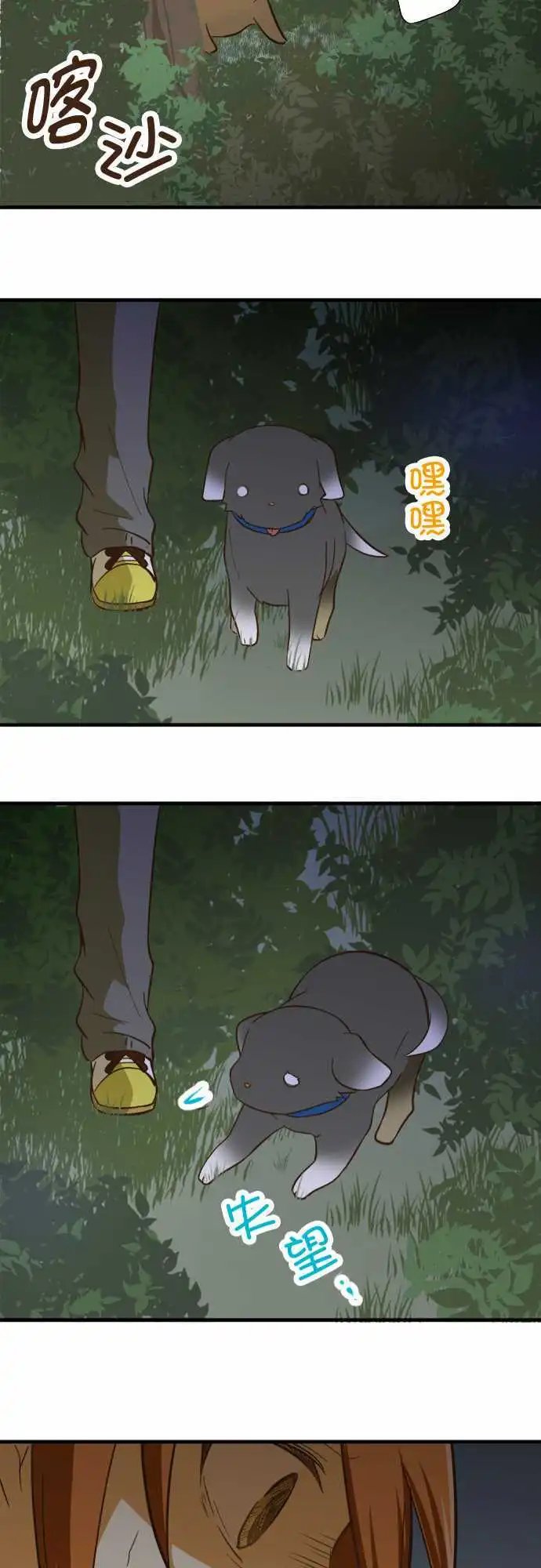 第66回