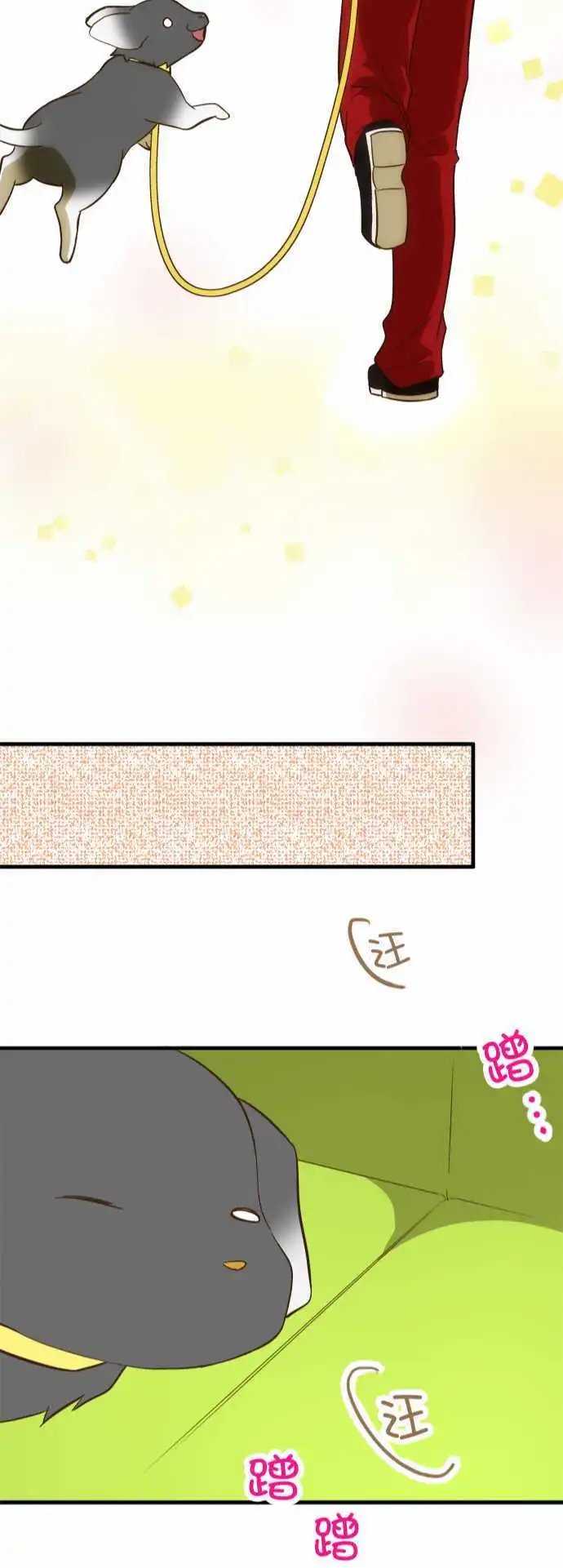 第66回