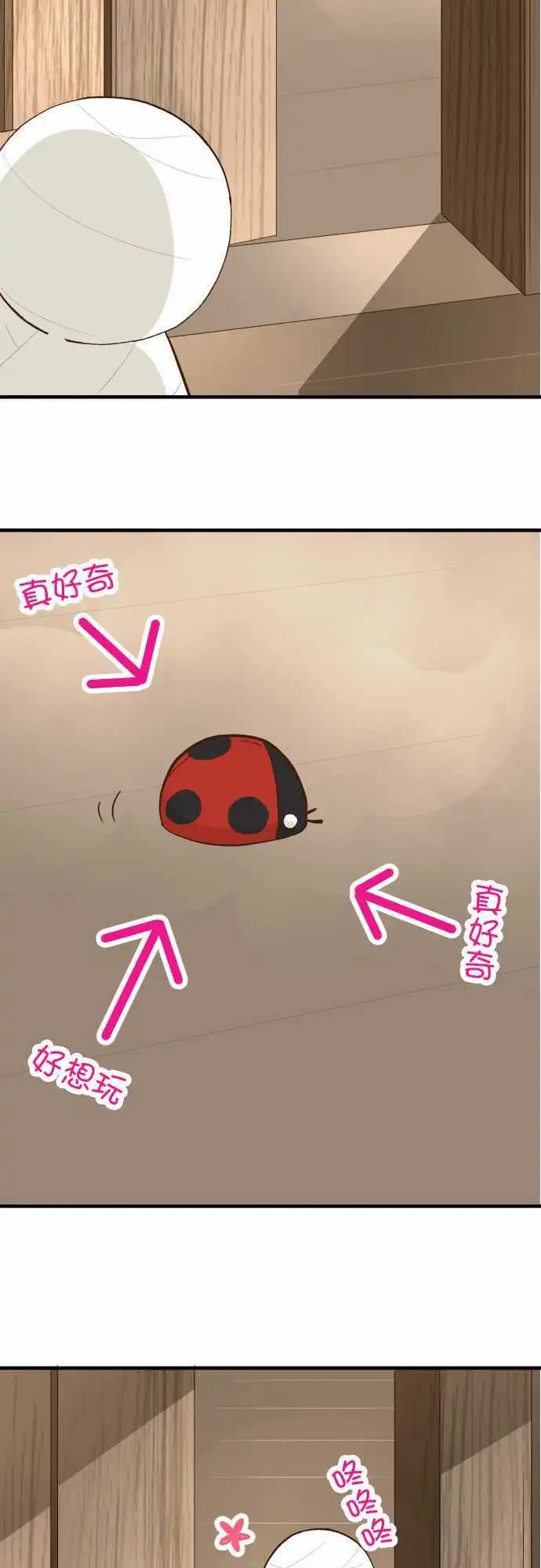 第72回 小伊的冒险