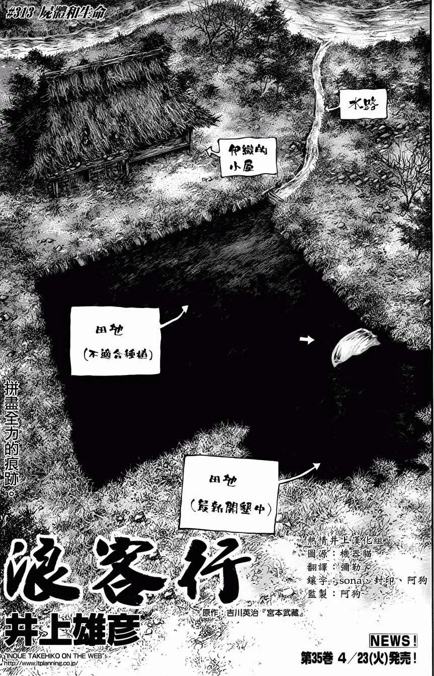 第313回
