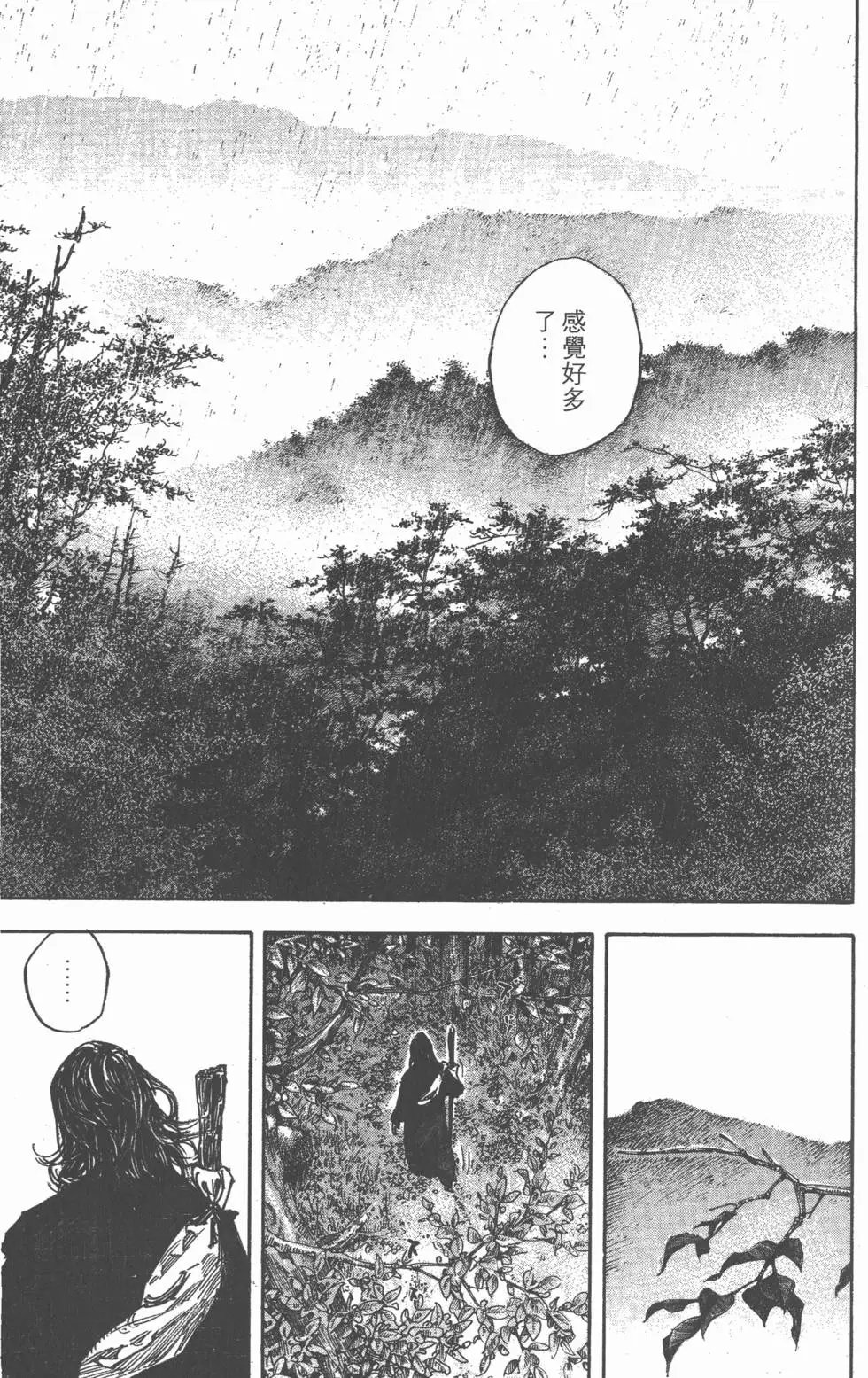 第31卷