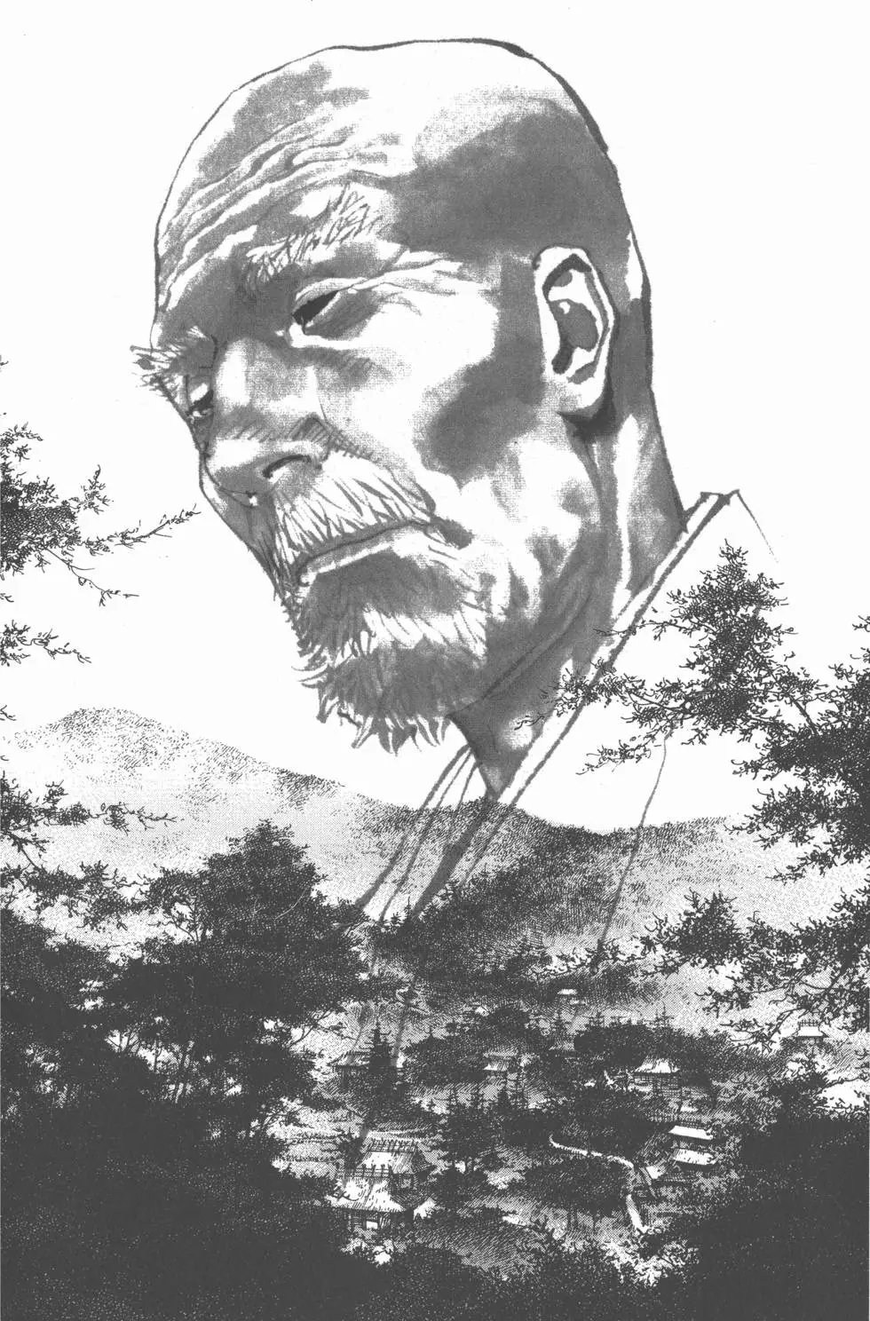 第31卷