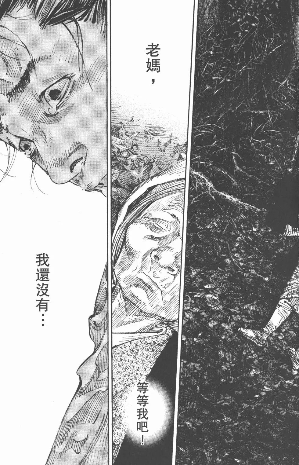第31卷