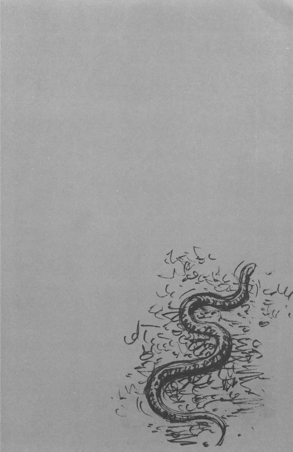 第37卷