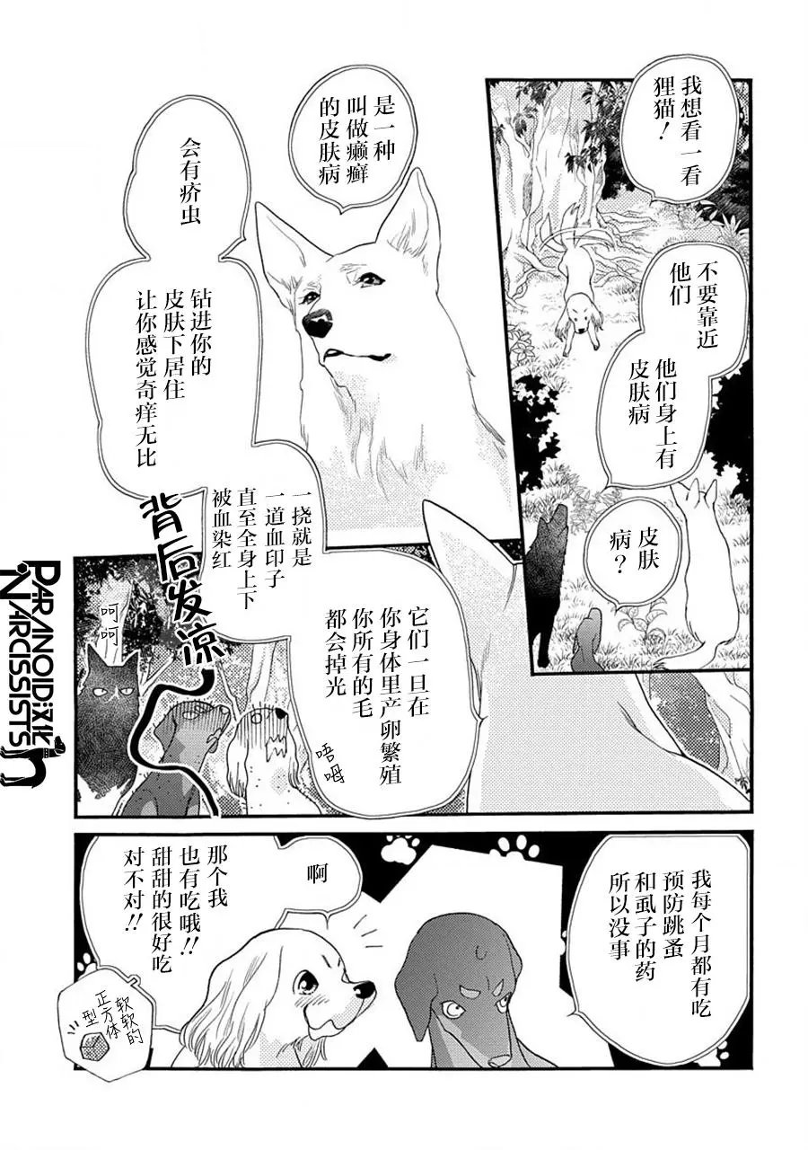 第20话