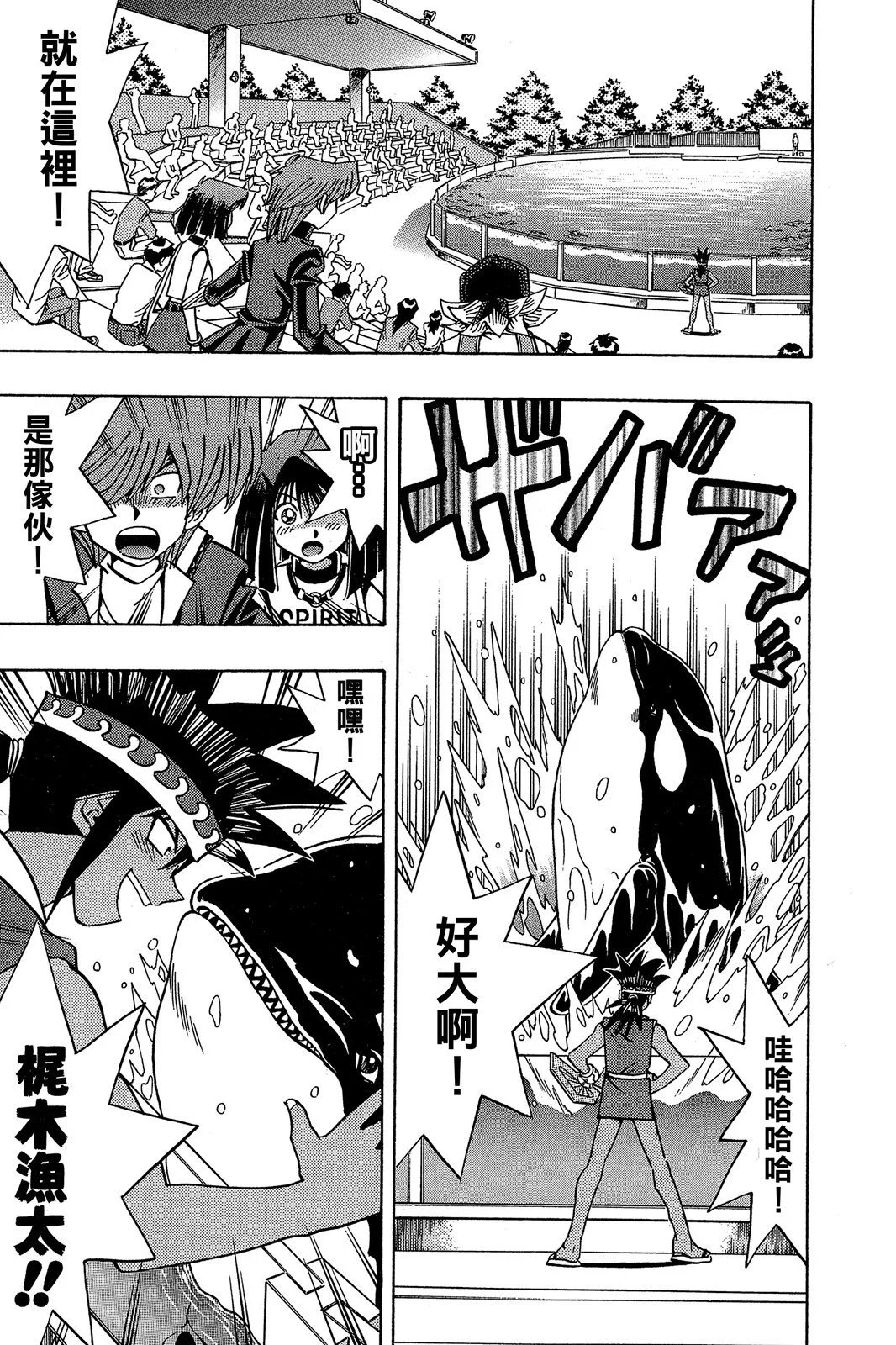 电子版20
