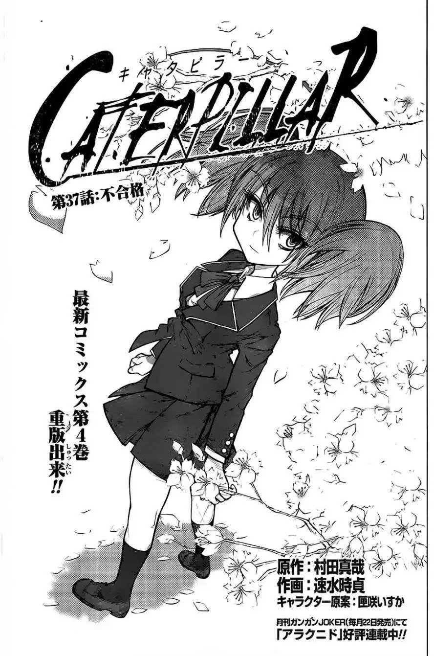 第37回