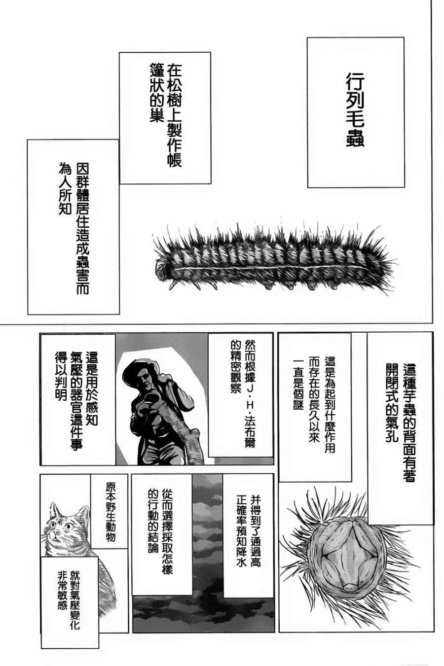 第37回