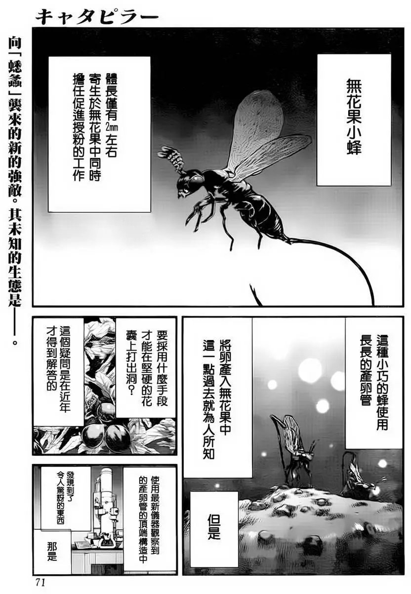 第41回