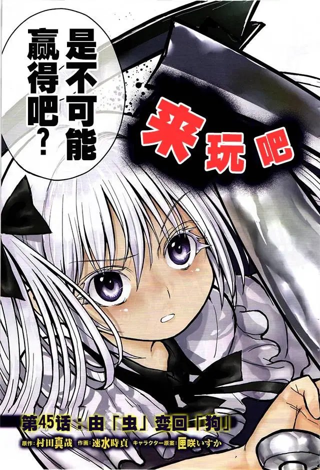 第45回