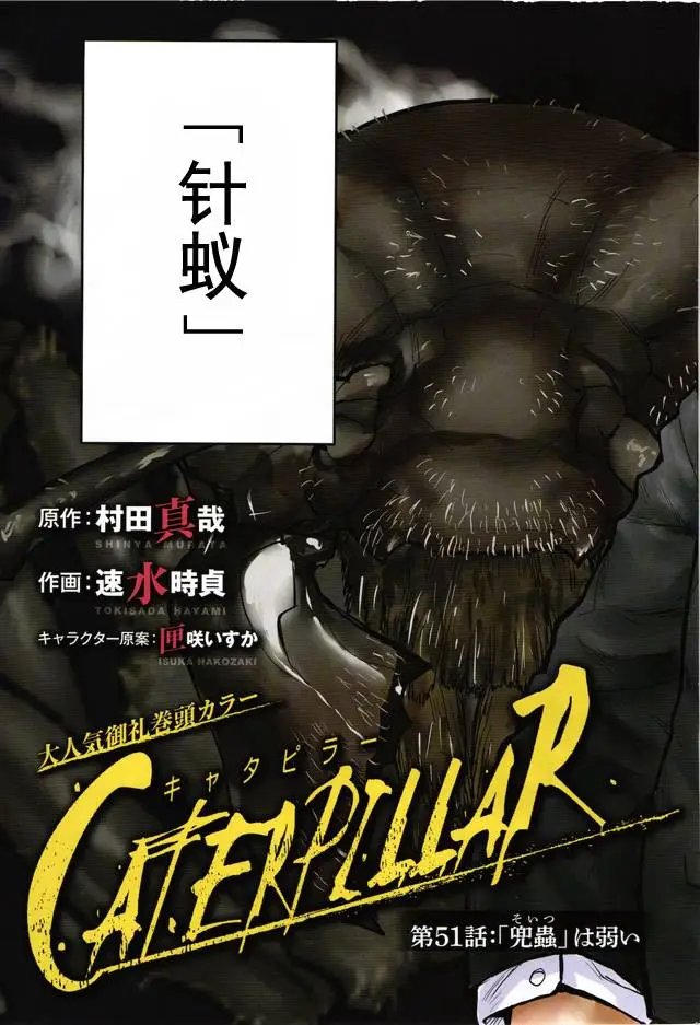 第51回