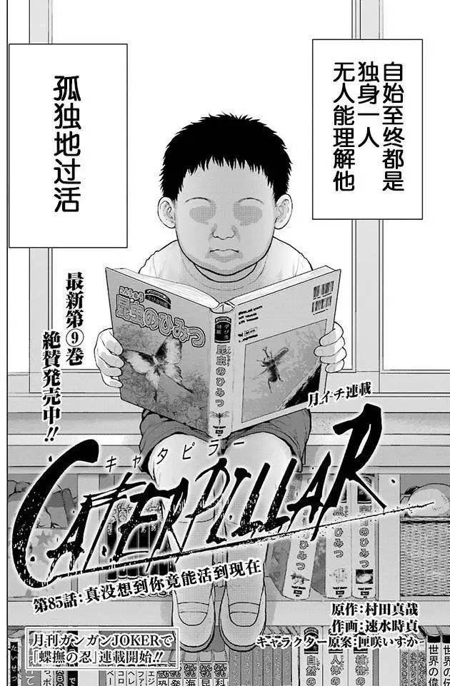 第85回