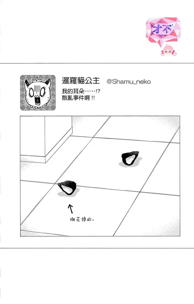 第11回