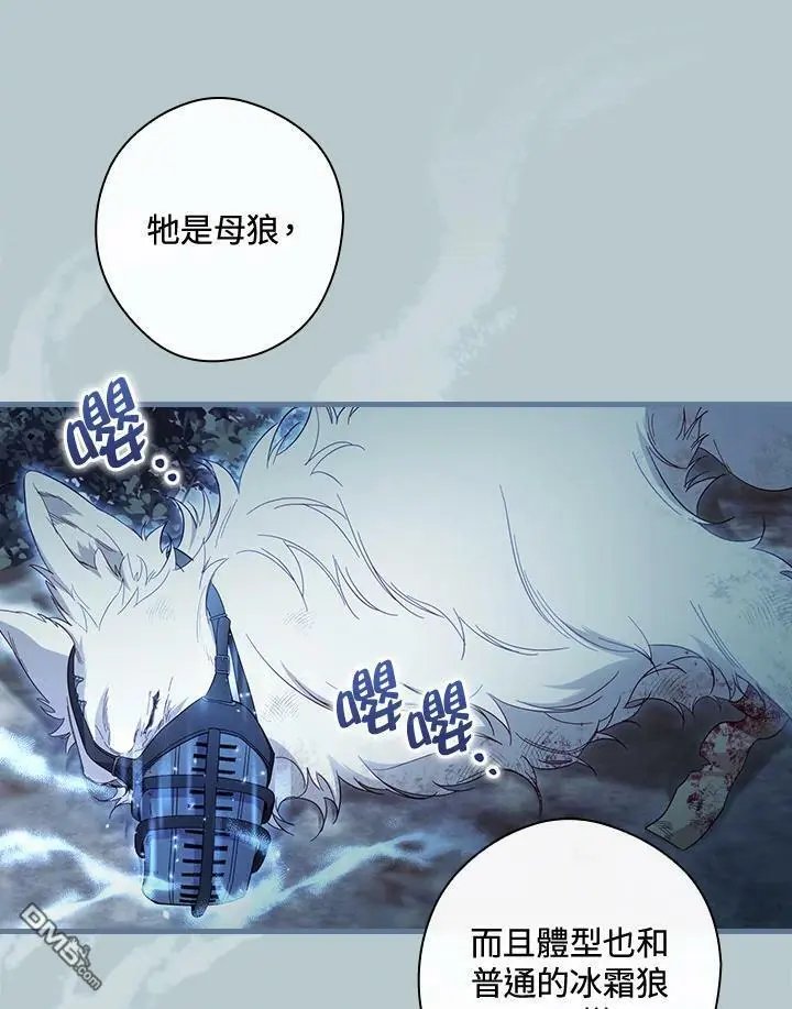第64话