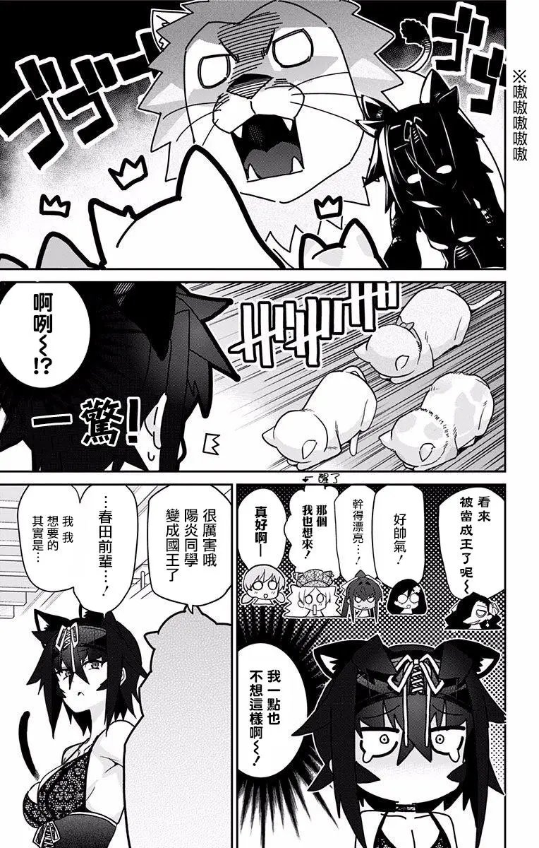 第13回