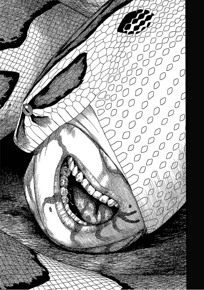 第07卷