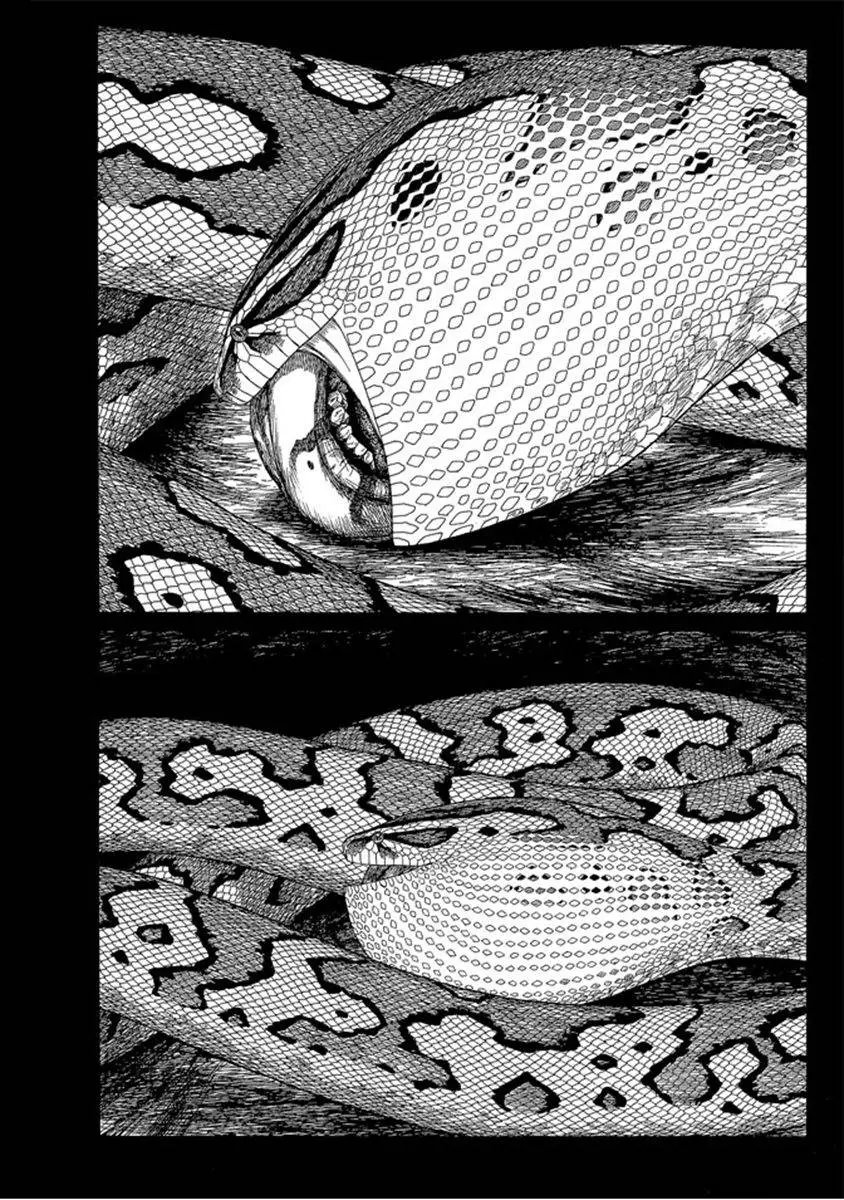 第07卷