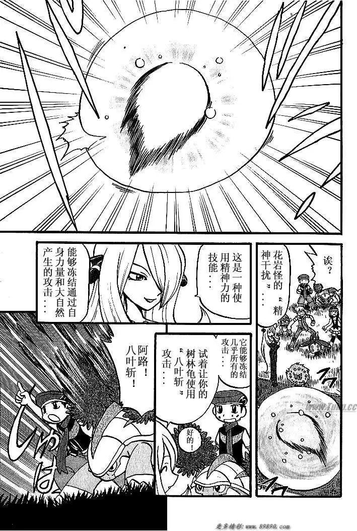 第31卷