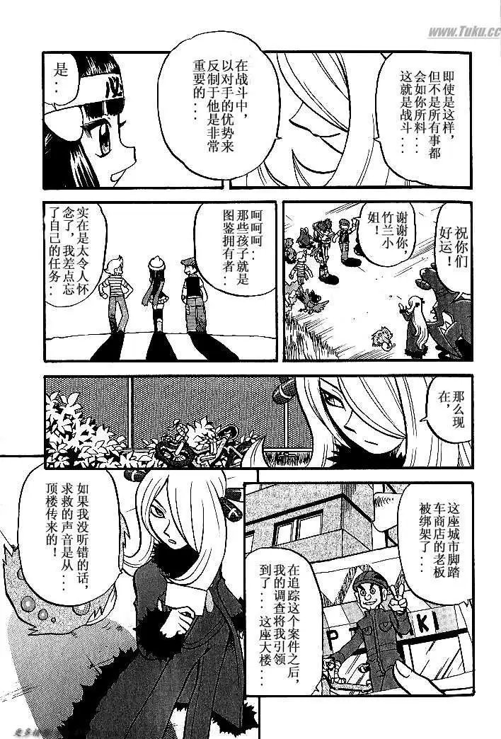 第31卷