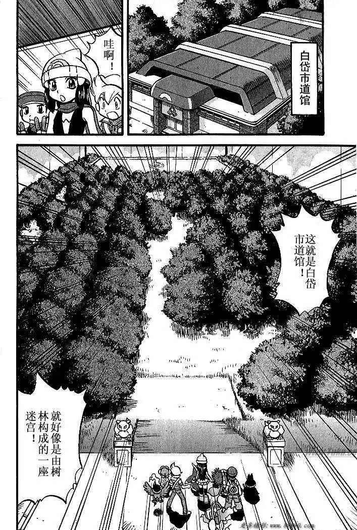 第31卷