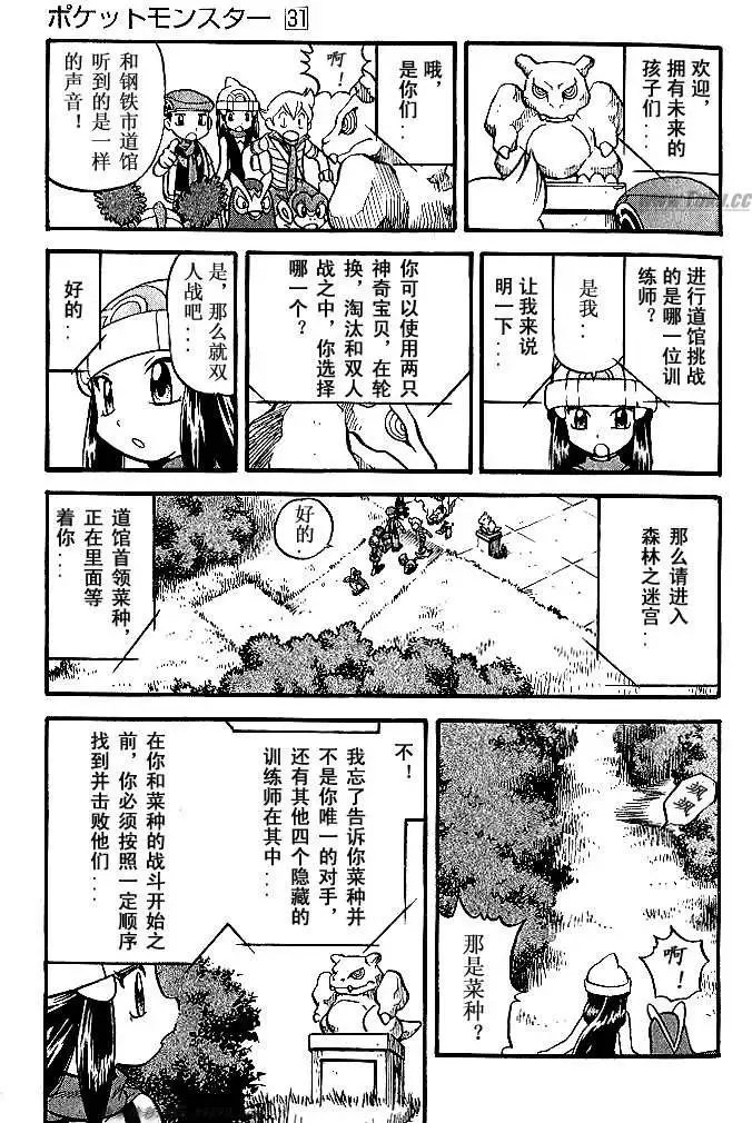 第31卷